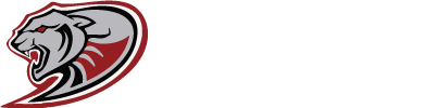 Questa School Foundation (QSF)